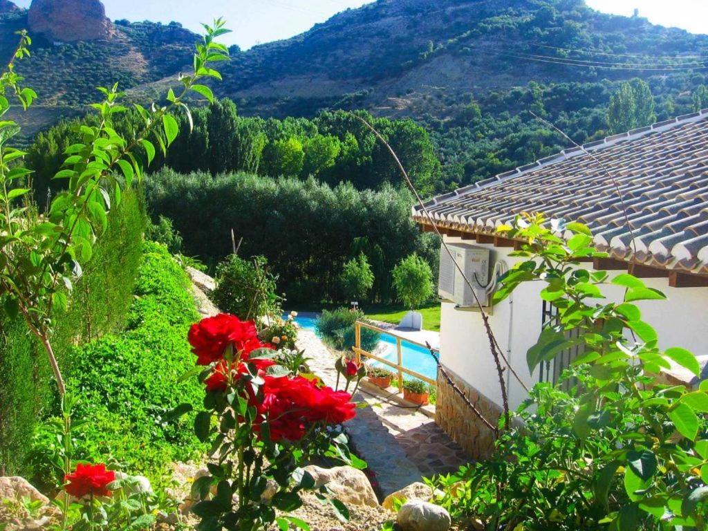 Appartement Casa Rocio *